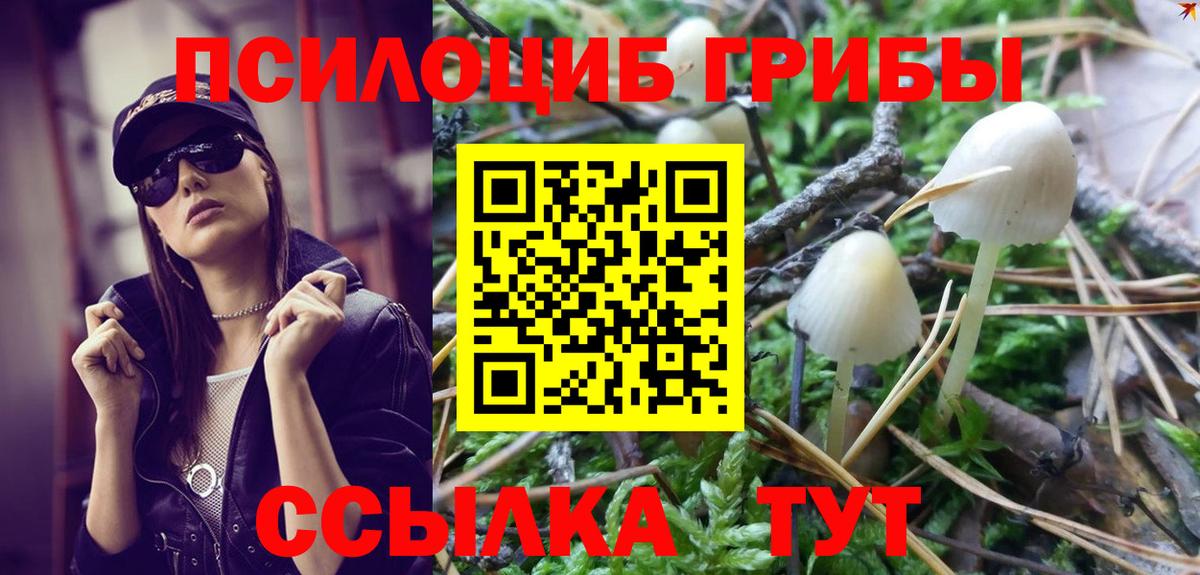 Галлюциногенные грибы мицелий Химки