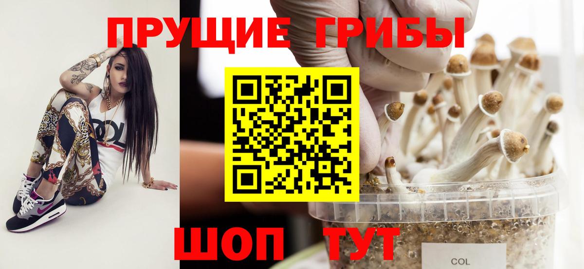 Химки  Галлюциногенные грибы ЛСД  Вход с VPN 
